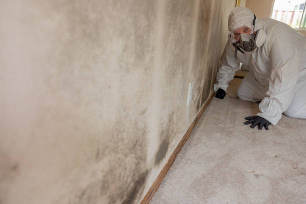 Best Mold Damage Restoration  in Waterford, CA